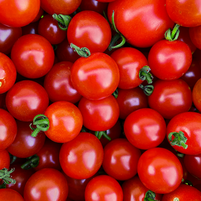 Fresh Organic Tomatoes