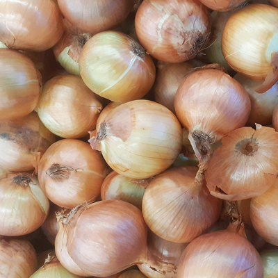 Fresh Organic Onions (1kg)